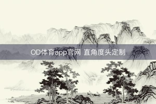 OD体育app官网 直角度头定制