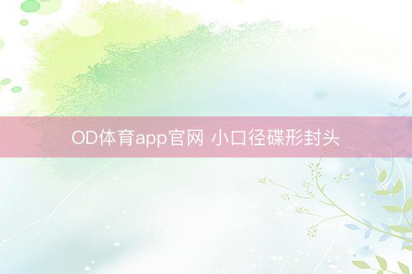 OD体育app官网 小口径碟形封头