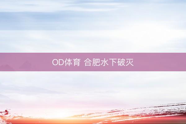 OD体育 合肥水下破灭