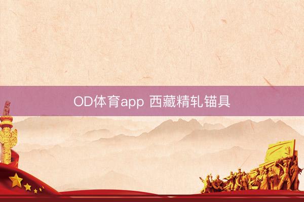 OD体育app 西藏精轧锚具