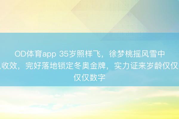 OD体育app 35岁照样飞,徐梦桃摇风雪中卫冕收效,完好落地锁定冬奥金牌,实力证来岁龄仅仅数字