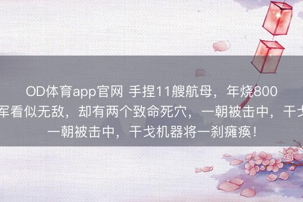 OD体育app官网 手捏11艘航母，年烧8000亿军费！好意思军看似无敌，却有两个致命死穴，一朝被击中，干戈机器将一刹瘫痪！