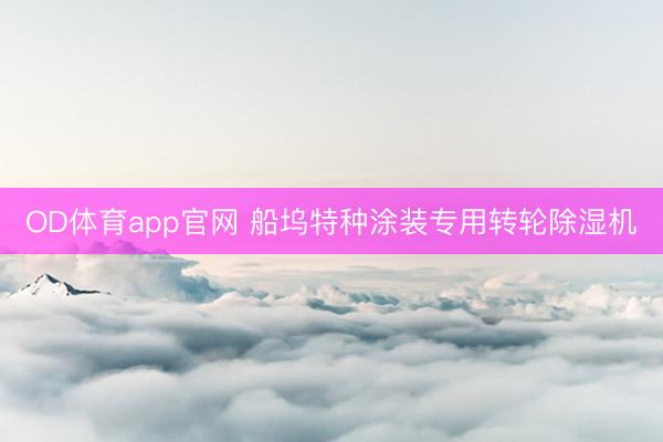 OD体育app官网 船坞特种涂装专用转轮除湿机