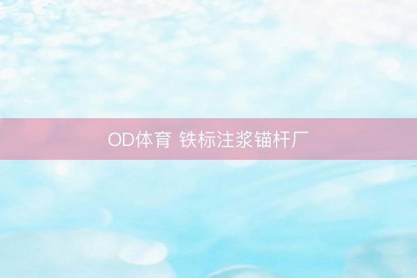 OD体育 铁标注浆锚杆厂