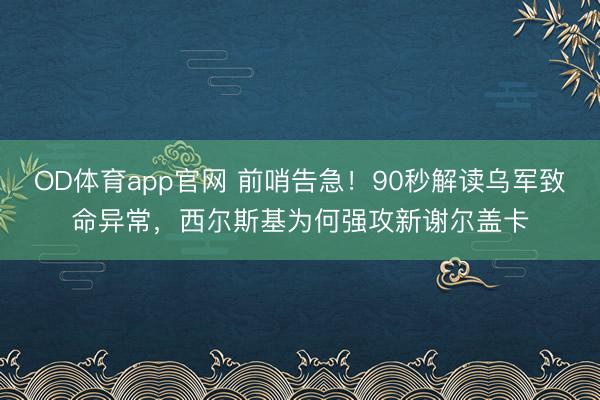 OD体育app官网 前哨告急！90秒解读乌军致命异常，西尔斯基为何强攻新谢尔盖卡