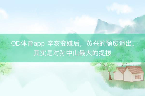 OD体育app 辛亥变嫌后，黄兴的颓废退出，其实是对孙中山最大的提拔